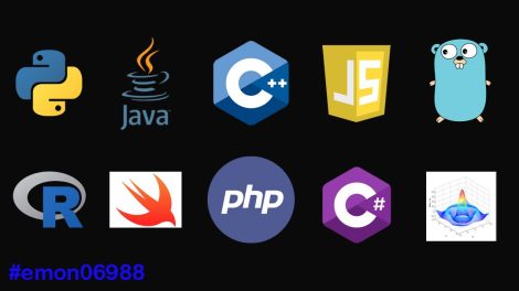 Beyond Python and Java: Emerging Programming Languages Worth Learning