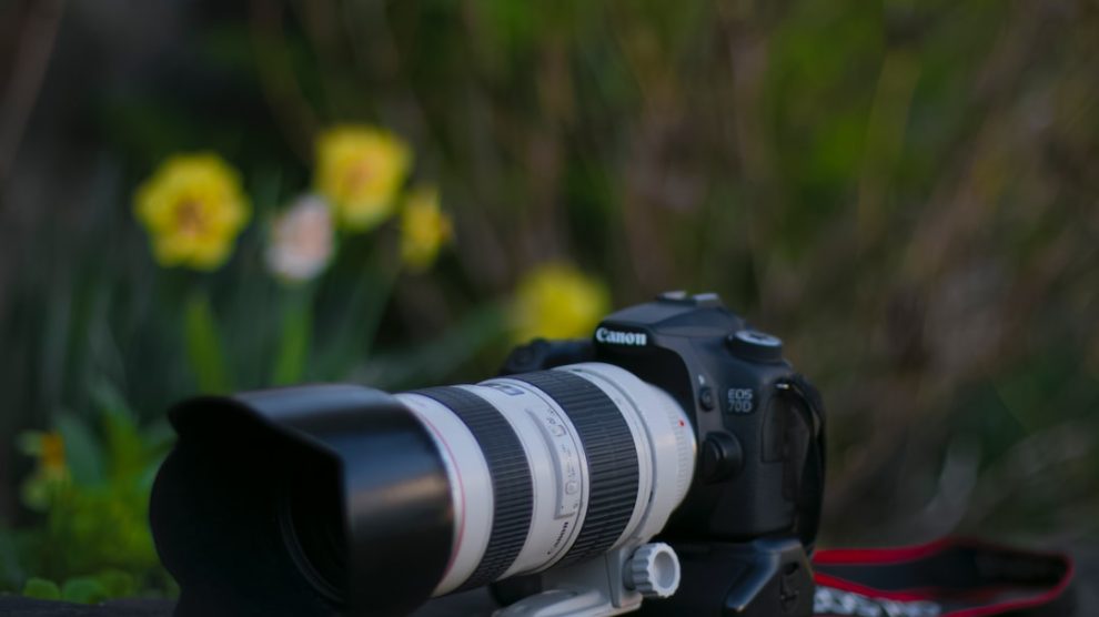 Capturing Life's Moments with Canon: A Guide to Choosing the Perfect Camera