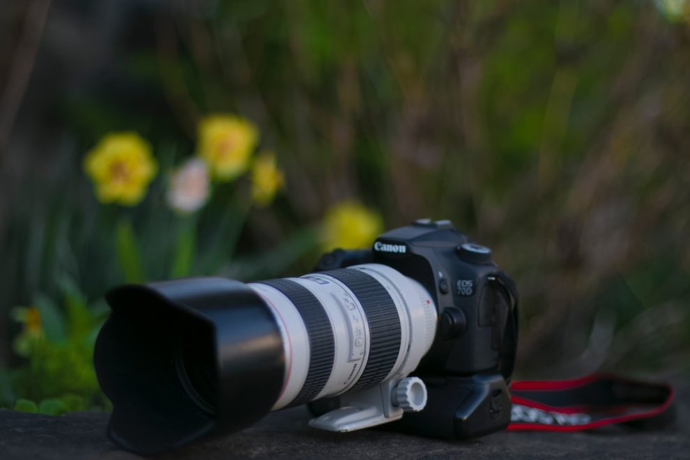 Capturing Life's Moments with Canon: A Guide to Choosing the Perfect Camera