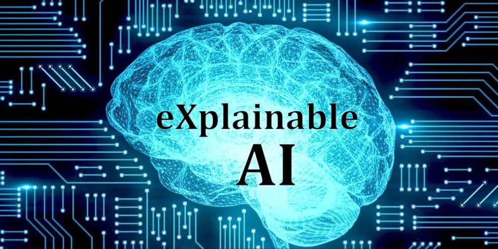 Demystifying the Machine: Exploring Explainable and Transparent AI with Model Interpretability