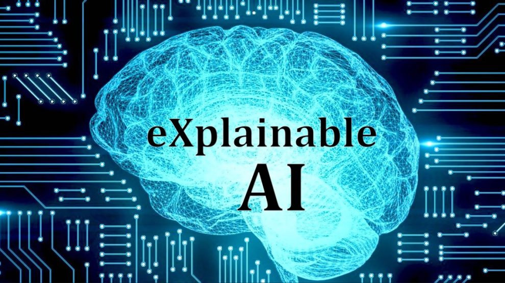 Demystifying the Machine: Exploring Explainable and Transparent AI with Model Interpretability