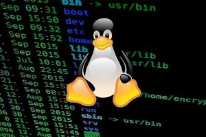 XZ Backdoor: Unpacking the Threat to Linux