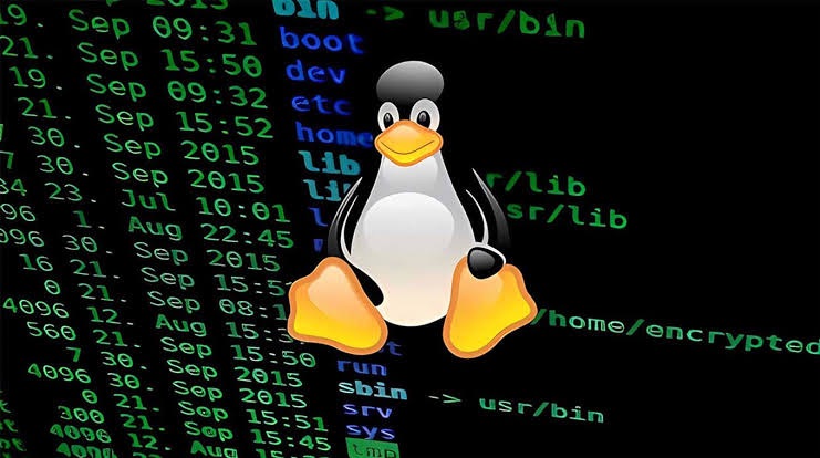 XZ Backdoor: Unpacking the Threat to Linux