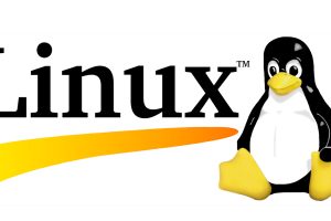 How to Delete Directories in Linux