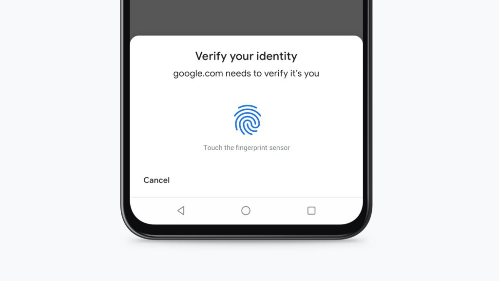 Biometric Authentication