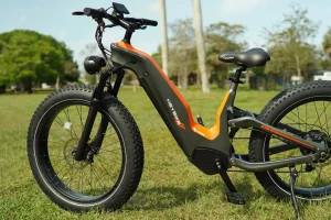 The Heybike Hero: A Carbon Fiber E-Bike for Discerning Riders, But is it Worth the Price?