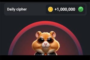 Stay Decoded: The Hamster Kombat Daily Cipher with These Updated Strategies