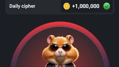 Stay Decoded: The Hamster Kombat Daily Cipher with These Updated Strategies