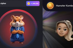 Stay Decoded: Mastering the Hamster Kombat Daily Cipher with These Updated Strategies