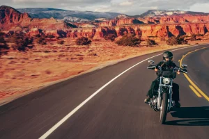 2024 Harley-Davidson's Softail® Standard