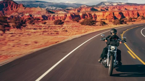 2024 Harley-Davidson's Softail® Standard