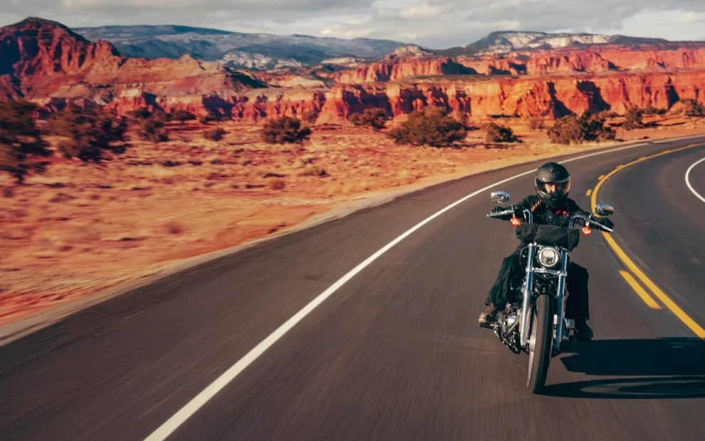 2024 Harley-Davidson's Softail® Standard