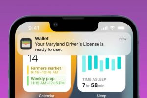 Hawaii Digital Driver's Licenses and IDs Now on Apple Wallet