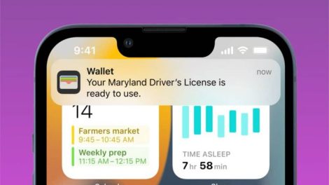 Hawaii Digital Driver's Licenses and IDs Now on Apple Wallet