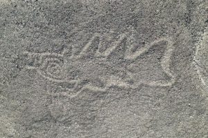 AI Breakthrough Unveils 303 New Nazca Geoglyphs, Doubling Known Ancient Peruvian Etchings