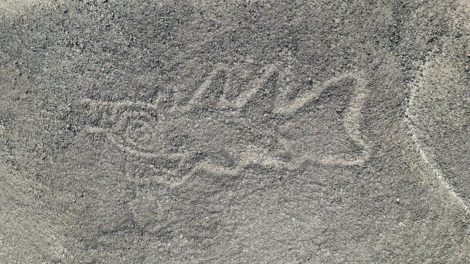 AI Breakthrough Unveils 303 New Nazca Geoglyphs, Doubling Known Ancient Peruvian Etchings