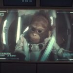 SNL's Heart-Wrenching 'Beppo' Sketch Revives Memories of Space Race's Forgotten Heroes