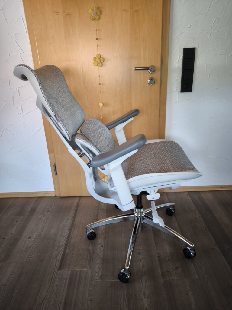 The Budget-Friendly Sihoo Doro S100 Ergonomic Chair That Punches Above Its Weight Class