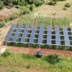 Groundbreaking Spanish Study Reveals Perfect Harmony Between Solar Power and Agriculture