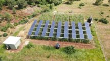 Groundbreaking Spanish Study Reveals Perfect Harmony Between Solar Power and Agriculture