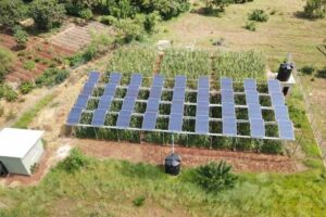 Groundbreaking Spanish Study Reveals Perfect Harmony Between Solar Power and Agriculture