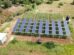 Groundbreaking Spanish Study Reveals Perfect Harmony Between Solar Power and Agriculture