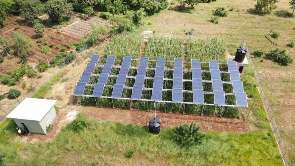 Groundbreaking Spanish Study Reveals Perfect Harmony Between Solar Power and Agriculture