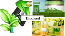 Powering Sustainable Transportation: Your Complete Guide to Biodiesel