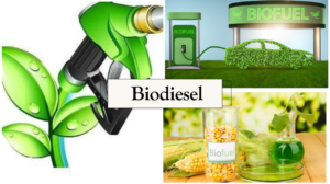 Powering Sustainable Transportation: Your Complete Guide to Biodiesel