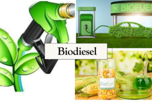 Powering Sustainable Transportation: Your Complete Guide to Biodiesel