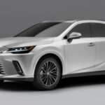 Lexus 2025 RX